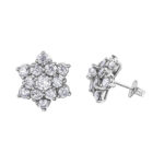 Diamond Earrings in 10kt White Gold EE51F78LW/200-10