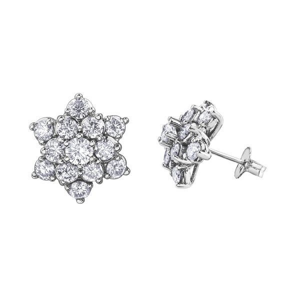 Diamond Earrings in 10kt White Gold EE51F78LW/200-10