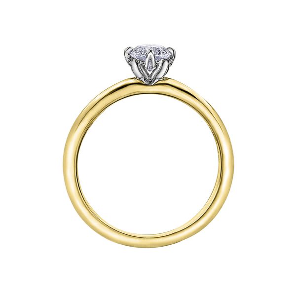 Maple Leaf Diamonds 18K White & Yellow Gold Diamond Round cut Solitaire Engagement Ring R10050YW 2